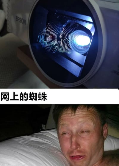 图片分为上下两部分。上半部分展示了一个爱普生（EPSON）投影仪的镜头内部，镜头中清晰可见一张完整的蜘蛛网，旁边配有文字“网上的蜘蛛”，可能暗指网络上的“蜘蛛”（如搜索引擎蜘蛛或网络梗）。下半部分是一名男子躺在床上的照片，他眉头微皱，眼神疲惫，表情显得有些无奈，与上半部分“网上的蜘蛛”形成对比，可能用来调侃网络世界与现实生活的反差。