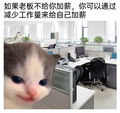 这是一张职场主题的搞笑改编表情包，画面背景是空旷的开放式办公室工位区域，前景是被合成到工位前的网络热门哭泣猫衍生表情包，猫咪眼神带着一丝委屈但嘴角上扬，露出类似得意的坏笑；图片顶部配有文字“如果老板不给你加薪，你可以通过减少工作量来给自己加薪”，以戏谑的方式调侃职场中，员工在遭遇老板不加薪时，选择通过减少工作量来变相提升时薪的摸鱼心态，精准戳中职场人的情绪共鸣，用幽默的口吻消解职场压力。