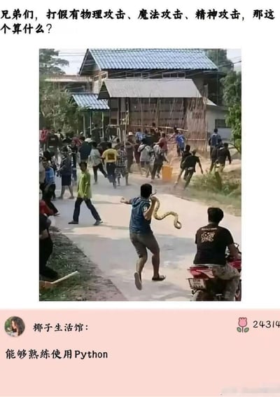 图片上方文字以“打假攻击类型”为引子提问：“兄弟们，打假有物理攻击、魔法攻击、精神攻击，那这个算什么？”，中间主体为一张实拍混乱场景：一名男子手持疑似蟒蛇的大蛇，在乡村小道上奔跑，周围数十人惊慌四散奔逃，背景可见蓝色屋顶的民居和竹木建筑材料。底部配有“椰子生活馆”的评论“能够熟练使用Python”，巧妙利用编程语言“Python”与“蟒蛇”的同名双关，形成幽默效果。