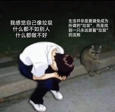 这是一张经过合成创作的静态图文作品，画面左侧是疑似《东京喰种》中金木研的动漫人物，他蹲在台阶上，双手抱头将脸埋在膝盖间，呈现出极度沮丧、自我否定的状态，配文直白地表达了他的负面情绪：“我感觉自己像垃圾 什么都不如别人 什么都做不好”；画面右侧是一只真实的浣熊，蹲在地面上平静注视着少年，配文则传递出温暖治愈的人生感悟：“生活并非是要避免成为所谓的"垃圾"，而是找到一只永远爱着"垃圾"的浣熊”。作品通过自我否定的负面情绪与温暖接纳的治愈观点形成对比，传递出在自我怀疑时，被接纳、被爱着才是重要的人生体验，能够引发处于情绪低谷的人们的共鸣，给予他们温暖的慰藉。