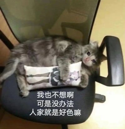 这是一张充满趣味的拟人化宠物表情包，画面主体是一只灰毛小猫，它躺在办公椅上，前爪紧紧抱着印有动漫女孩图案的小抱枕，眼神委屈巴巴、带着无辜感。图片下方搭配了拟人化的配文“我也不想啊 可是没办法 人家就是好色嘛”，将小猫抱着动漫抱枕的可爱行为调侃成“好色”，用撒娇委屈的语气制造出反差萌的搞笑效果，适合在社交互动中用来玩笑式地承认自己的小喜好，活跃聊天氛围。
