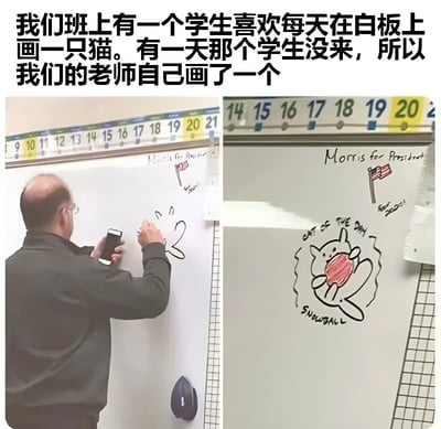图片上方配有文字说明：“我们班上有一个学生喜欢每天在白板上画一只猫。有一天那个学生没来，所以我们的老师自己画了一个”。下方分为左右两张图，左侧图中一位秃顶戴眼镜的老师正左手拿着手机，右手用马克笔在白板上画画；右侧图是白板局部特写，上面有一幅卡通猫的简笔画，猫抱着红色圆形物体，旁边写着“CAT OF THE DAY”和“Snowball”，白板顶部还有日期日历。整体展现了师生间温馨有趣的互动场景。