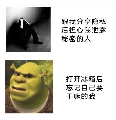 这是一张上下拼接的图文吐槽类梗图，通过两张表情包素材搭配文字，精准吐槽两种贴近生活的有趣状态：上方是一张黑白的真人抱头蹲在角落的图片，配文“跟我分享隐私后担心我泄露秘密的人”，生动还原了那些将秘密告知他人后，陷入焦虑、患得患失的人的状态；下方是动画角色史莱克一脸困惑的表情图，配文“打开冰箱后忘记自己要干嘛的我”，调侃了很多人都经历过的“瞬间失忆”的日常尴尬时刻，内容接地气，容易引发大众共鸣。