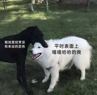 图片中两只狗狗站在绿色草坪上，左侧黑色狗狗将头轻靠在右侧白色狗狗的头顶。黑色狗狗身上配有文字'暗地里经常没有来由的悲伤'，白色狗狗则配有'平时表面上嘻嘻哈哈的我'。通过黑白两色狗狗的视觉对比，形象展现了人们表面乐观开朗与内心隐藏悲伤的情绪反差，画面温馨又带点共鸣感。