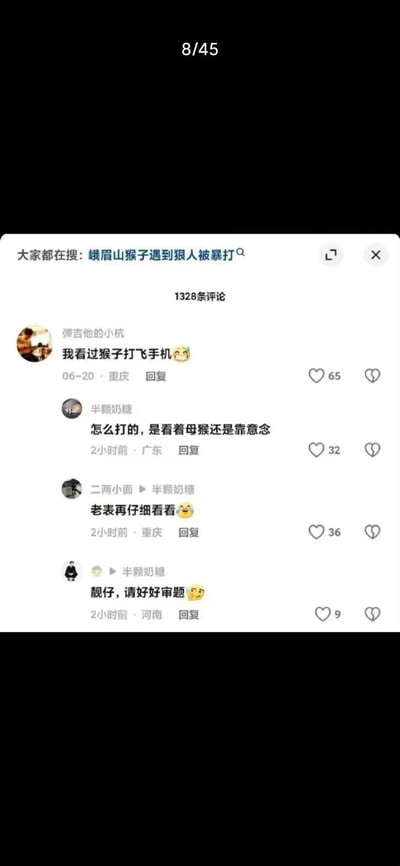 这是一张社交媒体评论区截图,显示了关于"峨眉山猴子遇到狠人被暴打"话题的网友讨论。截图上方显示搜索关键词和1328条评论的提示,下方展示了四条互动评论。第一条评论称"我看过猴子打飞机",随后有网友追问"怎么打的,是看着母猴还是靠意念",接着有人调侃"老表再仔细看看",最后一条回复"靓仔,请好好审题"。每条评论都显示了用户名、发布时间、地点和点赞数。