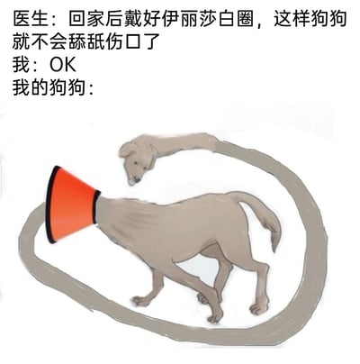 这是一张充满脑洞的手绘搞笑梗图，上方配有文字对话：医生叮嘱主人给狗狗佩戴伊丽莎白圈，以此防止狗狗舔舐伤口，主人答应照做。而图中的狗狗则用夸张的逆天操作应对——将自己的脖子无限伸长并绕成一个环形，完美避开头上的伊丽莎白圈，试图用嘴去舔舐自己的身体。这幅图通过极度夸张的视觉表现，调侃了宠物为了达成目的总能想出出人意料办法的有趣日常，充满反差感和趣味性。