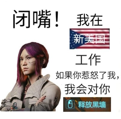 图片左侧为一位紫发、面部带有纹路的角色，双臂交叉，表情严肃。左侧文字为“闭嘴！”，右侧文字区域从上到下依次为“我在”“新美国”（旁配美国国旗图标）“工作”“如果你惹我，我会对你”“释放黑墙”（旁有“释放黑墙”按钮样式图标）。整体通过角色的严肃神态与直白文字，以幽默夸张的方式表达在“新美国”工作时不希望被打扰，否则将采取“释放黑墙”这一虚构警告行为的情景。