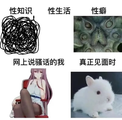 这是一张四格对比梗图，通过夸张对比展现人们在不同性话题认知和线上线下表现的反差。

第一格“性知识”配黑色乱线图，表示相关知识混乱不清；
第二格“性生活”配克苏鲁风格怪物图，暗示其神秘或令人不安；
第三格“网上说骚话的我”配自信动漫女性角色；
第四格“真正见面时”配无辜小白兔，形成鲜明反差萌效果。