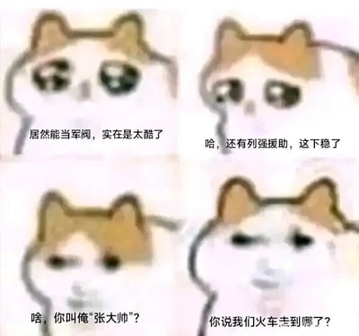 这是一张四格连环的文字加注类表情包，以国外流行的Sad Cat（悲伤小猫）表情包为基础进行二次创作。四格内容通过递进的文字和小猫的表情变化，玩起了近代历史人物张作霖（张大帅）的相关梗：第一格小猫露出憧憬的表情，配文表达对成为军阀的向往；第二格小猫神态得意，认为有列强援助便局势稳定；第三格小猫略带疑惑又有些得意，确认自己的“张大帅”身份；第四格小猫眼神迷茫不安，提问“你说我们火车走到哪了”，这一内容是暗示历史上张作霖在皇姑屯遭遇的事件，用轻松搞笑的表情包形式包装历史事件，通过前后的反差制造幽默效果，属于网络上常见的历史玩梗创作。
