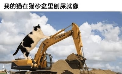 这是一张经过P图改编的静态搞笑图片，画面中一只黑白花色的猫咪被合成到现代（HYUNDAI）牌挖掘机的机身顶部，猫咪前爪搭在挖掘机的机械臂上，姿态仿佛正在操作挖掘机挖掘沙土。图片上方配有文字“我的猫在猫砂盆里刨屎就像”，用挖掘机挖掘沙土的夸张场景，幽默地比喻猫咪在猫砂盆里刨猫砂时动作幅度大、卖力的样子，精准戳中养猫人的日常体验，充满趣味。