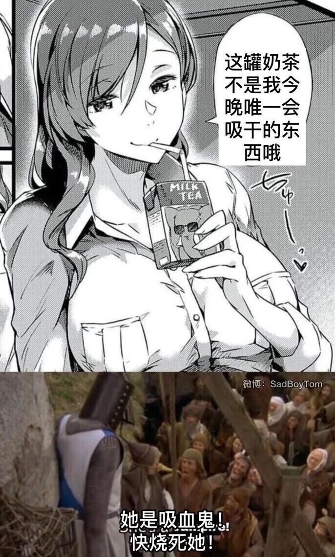 《巨蟒与圣杯》