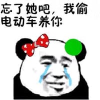 忘了他吧，我拿电动车养你
