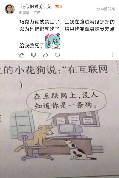 这张图是拼接而成的搞笑讽刺梗图，上半部分为B站用户“-还似旧时游上苑-”（IP属地广西，LV5等级）发布的动态，内容为非常离谱的迷惑发言：“巧克力真该禁止了，上次在路边看见黑黑的以为是粑粑就吃了，结果吃完浑身难受差点给我整死了”，发言旁还搭配了初音未来的呆萌表情包；下半部分是流传已久的经典互联网梗漫画，画中一只黄花狗坐在电脑前的办公椅上，对蹲在桌下的斑点狗说“在互联网上，没人知道你是一条狗”。上下两部分内容相呼应，讽刺了互联网匿名环境下，用户可以随意发表不符合常理的离谱言论的现象。
