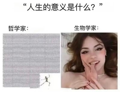 这是一张左右对比结构的搞笑梗图，顶部首先提出问题“人生的意义是什么？”。左侧标注为哲学家的回答，呈现的是几乎铺满整个区域的密集细密文字，仅在右下角有一个呈逃跑姿态的简笔骷髅小人，暗喻哲学领域对人生意义的探讨内容繁复冗长、晦涩艰深，甚至让人想要逃避。右侧标注为生物学家的回答，是一张外网网红Hannah Owo的自拍，图中女性妆容精致，面带暧昧笑意，脸部被手轻托，玩梗指代从生物学视角出发，人生的意义本质上是繁衍、追求美色这类直白的生物本能需求，用夸张的反差制造笑点。