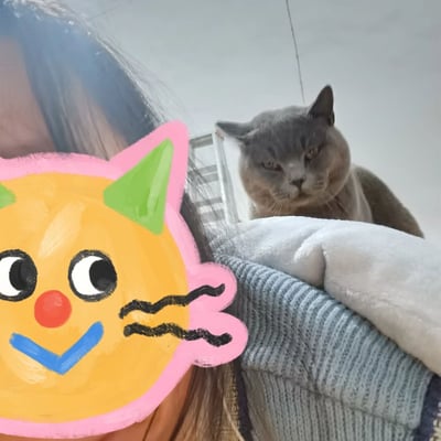 图片左侧是一位戴着手绘风格猫脸面具的人，面具为黄色底色，粉色边框，绿色耳朵，红色圆鼻子和蓝色微笑嘴型。右侧背景中，一只灰色蓝猫趴在白色毯子上，耳朵竖起，眼神半眯，表情显得有些嫌弃和不耐烦。整体画面呈现出人与宠物互动中的趣味反差，面具的可爱与猫咪的傲娇形成幽默对比。