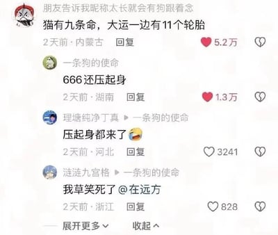 这是一段X.com平台的评论区截图，最高赞评论玩了谐音梗，将原本关于寿命的“大限”谐音为汽车品牌“大运”，把“猫有九条命，大限一边走”改编成“猫有九条命，大运一边有11个轮胎”，制造出无厘头的搞笑反差。下方其他网友纷纷评论“666还压起身”“压起身都来了”“我草笑死了 @在远方”，表达对这个谐音梗的喜爱和爆笑情绪。

谐音梗说明：这里将“大限”（指生命的尽头）谐音为汽车品牌“大运”，把严肃的寿命话题歪楼到汽车轮胎数量上，反差感拉满，笑点十足。