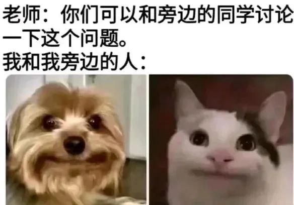 网络经典动物表情包素材