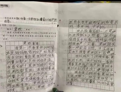 这是一张翻拍的小学生课堂习作照片，作文题目为《黑丝真美》，内容以极其夸张的孩童视角，讲述自己第一次看黑丝视频流鼻血，妈妈买十斤鸭血补身体，自己沉迷黑丝被妈妈打手，最后改掉毛病还总结“看黑丝要适量”的离谱经历，充满幼稚又滑稽的反差感。
注：文中的“黑丝”仅指丝袜，是小学生单纯的夸张表述，无其他暗示含义。
