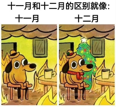 这张梗图通过左右对比的方式，幽默展现十一月和十二月的氛围差异。左侧十一月的卡通小狗戴着普通帽子，坐在温暖的室内，面前放着一杯热饮，氛围轻松日常；右侧十二月的小狗则换上了红色围巾和圣诞元素帽子，身后出现装饰着彩灯和星星的圣诞树，充满节日气息。两张图构图一致，仅通过小狗的服饰和背景细节变化形成鲜明对比，生动传达出从普通冬日到圣诞季的转变。