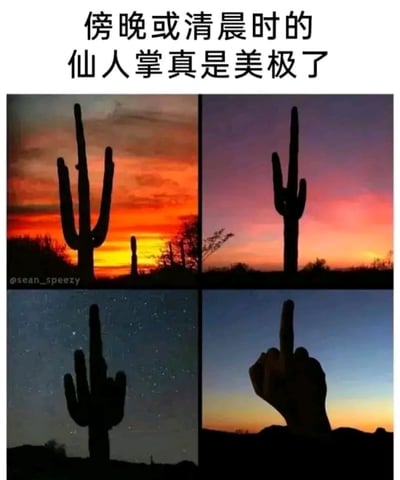 这张梗图由四幅剪影图组成，前三幅展示了黄昏、黎明和星空下的仙人掌剪影，配文‘傍晚或清晨时的仙人掌真是美极了’。第四幅图则是一只手做出中指手势的剪影，背景同样是黄昏/黎明的天空，模仿仙人掌的形状，形成幽默的反差效果，调侃了原有的唯美意境。