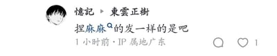 社交媒体评论截图，显示用户“憶記”（头像为黑发动漫风格人物）发布的内容，用户名旁标注“東雲正樹”。评论正文为“捏麻麻的发一样的是吧”，发布时间为1小时前，IP属地显示广东，右下角有点赞图标及数量1。整体为简洁的评论区界面截图，无复杂背景或额外元素。