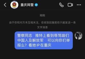 这是一张竖屏手机格式的聊天记录截图，展示了用户与官方账号「重庆网警」的私信对话界面。界面顶部显示「重庆网警」的账号标识，系统自动提示「由于你和对方未互相关注，在收到回复前你只能发送一条文字消息」，用户以蓝色消息气泡发送内容：「警察同志 推特上看到辱骂咱们中国人及解放军 可以向你们举报么？看她IP在重庆」，场景为用户发现网络上的不当言论后，向属地网警咨询举报渠道的求助场景。
