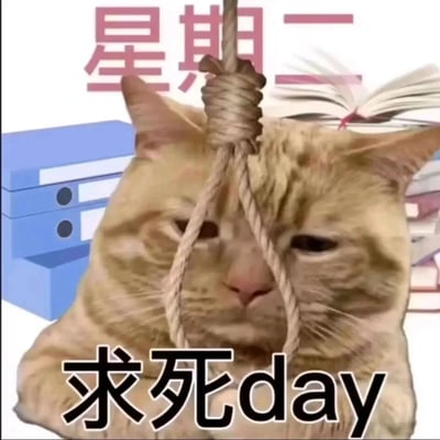 这是一张针对职场人周二倦怠情绪创作的吐槽表情包，画面主体是一只眼神无光、表情萎靡的橘猫，脸部前方被一个模拟绳结的图案遮挡，背景搭配了办公文件柜和堆叠的书本插画，上方有红色文字“星期二”，下方配文“求死day”，利用“Tuesday（星期二）”与“求死day”的谐音梗，生动地表达了打工人在周二时，因工作日刚进入节奏、疲惫感累积而产生的倦怠、难熬的负面情绪，是职场人用来抒发工作压力的趣味梗图。