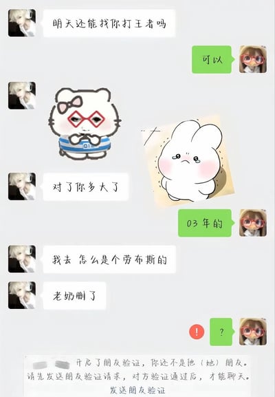 这是一张经过表情包加工的微信聊天记录截图，内容为：头像是白发人物的用户首先询问对方明天是否可以一起玩王者荣耀，得到对方肯定答复后，又询问对方年龄，对方告知自己是2003年出生后，该用户用“劳布斯”（“老不死”的谐音梗）恶意调侃对方是老奶，随后直接将对方删除。被删除的用户再发消息时已经弹出好友验证提示，无法继续聊天。图中还搭配了戴红框眼镜的chiikawa改图自嘲表情包、委屈流泪的小白兔表情包，烘托被删除一方的错愕与无语的情绪，整个内容因发言者离谱的年龄歧视行为产生搞笑效果。