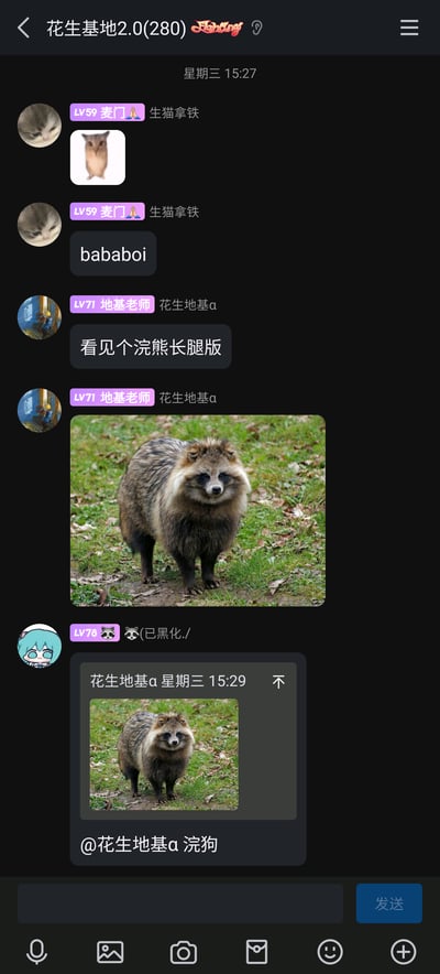 这是一张QQ群聊“花生基地2.0(280)”的截图，时间从星期三15:27开始。群成员“生猫拿铁”先发了一张长腿动物图片和文字“bababoi”；随后成员“花生地基a”分享了一张貉的图片，称其为“浣熊长腿版”；最后成员“🦝(已黑化./)”引用该图片，纠正并@“花生地基a”，称这个动物是“浣狗”（貉的俗称，外形类似浣熊，常被误认），整个群聊氛围轻松有趣，围绕趣味动物图片展开互动。