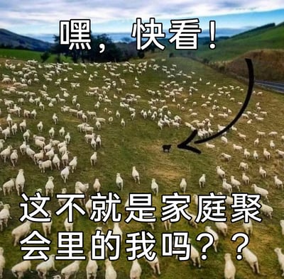 这是一张经过文字改编的静态照片，画面呈现了一片开阔的草地，上面聚集了大量的白色羊群，在密集的白羊中间，有一只黑色的小羊显得格外醒目，黑色箭头特意指向这只黑羊。图的上方配有文字“嘿，快看！”，下方配有文字“这不就是家庭聚会里的我吗？？”，通过羊群中异类的黑羊，比喻自己在家庭聚会这类集体社交场景中，与周围人格格不入、显得孤立疏离的状态，用幽默自嘲的方式引发有类似社交体验人群的共鸣。