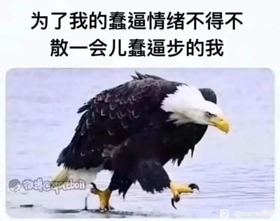 暂无描述