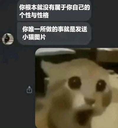 聊天界面截图中，上方两条消息气泡分别显示‘你根本就没有属于你自己的个性与性格’和‘你唯一所做的事就是发送小猫图片’，下方配有一张白色猫咪的照片。猫咪瞪大双眼、嘴巴微张，表情呈现出明显的震惊状态，仿佛对消息内容感到意外。整体通过文字与猫咪表情的结合，形成一种幽默调侃的效果，常用于朋友间开玩笑说对方只会发猫咪图片。