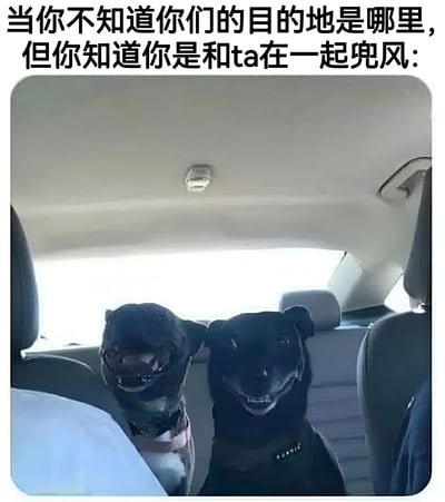 图片上方配有文字“当你不知道你们的目的地是哪里，但你知道你是和ta在一起兜风：”，下方是一张车内后排视角的照片，两只黑色的狗并排坐在后座，耳朵竖起，嘴巴微张，露出开心的表情，似乎在享受乘车兜风的时光。整体氛围轻松愉快，传达出只要和喜欢的对象（伴侣、朋友或宠物）在一起，即使没有明确目的地也很快乐的情感。