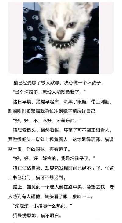这是一则图文混排的原创短故事，上方是一只眼眶被涂黑、佩戴着带刺项圈的白色小猫，它故作凶狠姿态；下方的文字讲述了这只小猫的经历：因为受够了被人欺负，它决心伪装成“坏孩子”来保护自己，于是精心打扮自己，反复对着镜子调整凶狠的造型，确认自己足够“坏”后背着书包出门。可当它看到路上摔倒的老人，还是忍不住上前搀扶，却被老人误以为是不良小孩而呵斥，小猫呆愣在原地满是困惑。故事通过可爱的萌宠形象与反差感的情节，展现了外表伪装下柔软的善意，以及善意被误解的无奈，既暖心又带着一丝扎心，容易引发读者的情感共鸣。