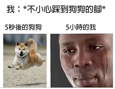 这是一张左右对比梗图，上方文字为“我：*不小心踩到狗狗的脚*”。左侧图片标注“5秒後的狗狗”，展示一只棕白相间的柴犬正开心地跳跃奔跑，表情兴奋；右侧图片标注“5小時的我”，是一个人脸部特写，脸上有夸张的泪痕，表情充满懊悔与痛苦。通过时间差和情绪反差制造搞笑效果，体现宠物主人不小心弄疼宠物后长时间的自责心理。