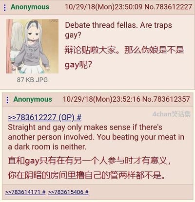 图片展示了一个4chan论坛的辩论贴截图，标题为"Are traps gay?"（伪娘是不是gay呢?），并配有一张动漫风格的白发角色图片。下方是另一位匿名用户的回复，认为直和gay的定义需要有他人参与，而自我安慰的行为两者都不算。整体内容属于典型的4chan风格争议性讨论，带有幽默调侃的语气。