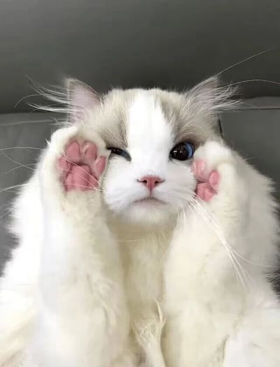 暂无描述