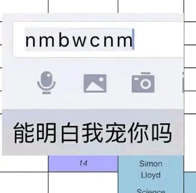 这是一张聊天界面截图梗图，展示了一个输入框中输入的拼音首字母缩写“nmbwcnm”，下方配有翻译文字“能明白我宠你吗”。这种用拼音首字母缩写来表达完整句子的方式是网络聊天中常见的表达方式，通过这种反差制造幽默效果。