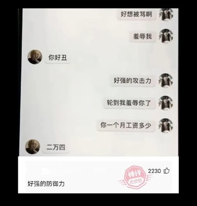 这是一张搞笑的社交平台梗图，由聊天记录截图和皮皮虾神评组成：
1. 对话中，用户A主动提出“好想被骂啊”“羞辱我”，用户B回复“你好丑”，用户A感叹“好强的攻击力”；
2. 用户A随后表示“轮到我羞辱你了”，并询问“你一个月工资多少”，用户B回复“二万四”；
3. 下方皮皮虾神评“好强的防御力”精准吐槽了这场对话的反转——想用工资羞辱对方，反而被对方的高工资“暴击”，属于反向羞辱的搞笑效果，戳中了当代人对工资的敏感点。