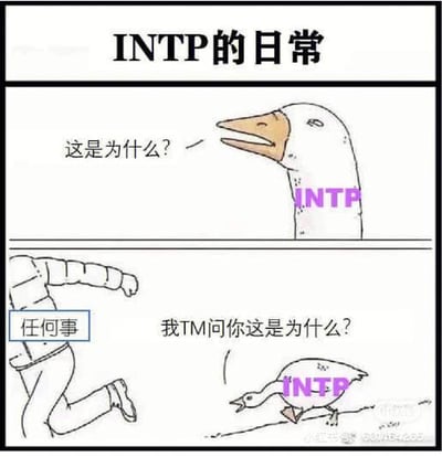 这是一张两格形式的MBTI主题搞笑梗图，标题为「INTP的日常」。第一格中，身上标注了INTP字样的大鹅站着，一脸疑惑地问“这是为什么？”；第二格中，标注为「任何事」的人物在前方逃跑，INTP大鹅追在后面，暴躁地大声质问“我TM问你这是为什么？”，形象调侃了INTP人格好奇心旺盛、凡事都要探究底层逻辑、遇事总爱追问原因的性格特征。