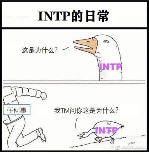 本梗图