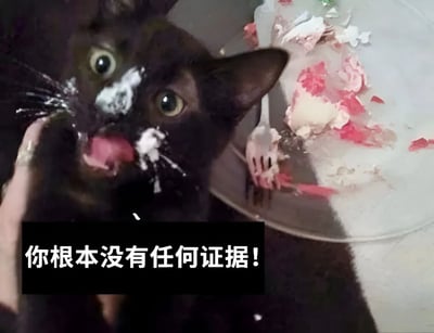 一只脸上沾满白色奶油的黑猫，正睁大眼睛直视镜头，表情看起来有些惊讶和心虚。猫的旁边放着一个已经被吃了一部分的蛋糕，蛋糕上有粉色和白色的奶油。图片底部有一行黑色背景白色文字："你根本没有任何证据!"。这张图片通过猫脸上的奶油和旁边被吃的蛋糕，与文字形成了幽默的反差，暗示猫偷吃了蛋糕却在狡辩。