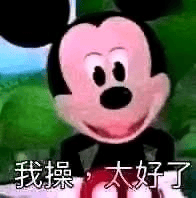 这是一张低画质的沙雕表情包，主体是经过改编后造型扭曲怪异的米老鼠卡通形象，米老鼠带着诡异又带笑意的表情面向镜头，图片底部配有白色文字“我操，太好了”，整体风格粗粝搞笑，通常用来表达遇到意外好事时极度惊喜、兴奋的情绪。