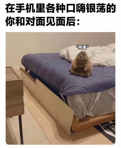 这张梗图通过对比手法展示了网络社交与现实社交的反差。上方文字描述"在手机里各种口嗨银荡的你"，下方图片则是一只土拨鼠拘谨地坐在床上，配上"*拘谨*"的文字标注，幽默地表现了人们在网络上大胆奔放，见面后却变得害羞腼腆的普遍社交现象。