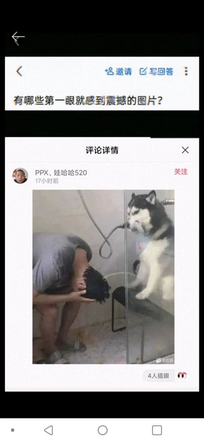 这是一张多层的屏幕截图，上层是一个类似知乎的问答平台提问界面，问题为“有哪些第一眼就感到震撼的图片？”；下层是该问题的评论详情，用户“PPX、娃哈哈520”在17小时前发布了一张实拍趣味图作为回答。图中一只哈士奇站在高处，咬着淋浴喷头，喷头的水流向下方蹲着的人，此人正低头用手捧水在头部，仿佛哈士奇在“帮忙”冲头，画面打破常规认知，充满反差感，既搞笑又有视觉冲击力，完美契合“第一眼震撼”的提问主题。