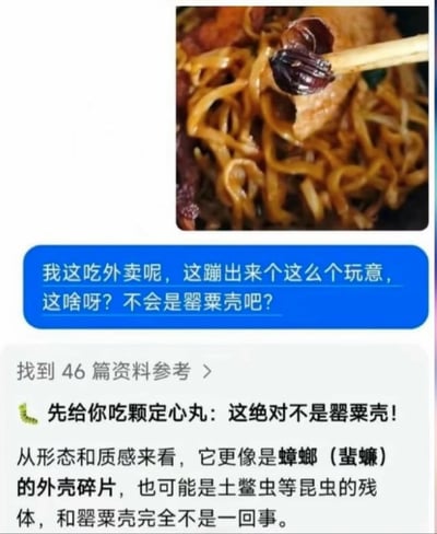 整张图为图文混排结构，上方是实拍的外卖炒面特写，可见筷子夹着一块黑褐色的异物；下方是对话内容，先是用户发消息询问自己吃外卖时吃到的这个异物是不是罂粟壳，后续的回复先是安抚称该物体绝对不是罂粟壳，随后说明该异物更大概率是蟑螂（蜚蠊）的外壳碎片或者土鳖虫等昆虫的残体，前后内容形成强烈反差，极具搞笑效果。