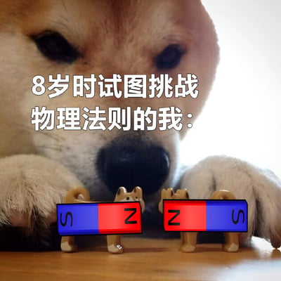 一张以柴犬为主体的搞笑梗图。图片近景是一只表情专注的柴犬，前爪趴在桌面上，面前摆放着两个小狗造型的玩具，每个玩具分别举着一块红蓝相间的磁铁——左边磁铁蓝色部分标有'S'、红色部分标有'Z'，右边磁铁红色部分标有'Z'、蓝色部分标有'S'。图片上方配有文字'8岁时试图挑战物理法则的我：'，通过狗狗认真观察磁铁的样子，幽默地还原了小时候不懂物理原理、试图让同极磁铁相吸的天真行为。