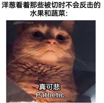 图片上方文字为“洋葱看着那些被切时不会反击的水果和蔬菜：”，下方是一张特写的猫脸照片，猫咪眼神略带俯视，表情看似轻蔑，下巴处有明显的褶皱。图片底部叠加文字“真可悲 Pathetic.”，通过拟人化手法，将洋葱比作会“反击”（切洋葱会让人流泪）的角色，嘲讽其他不会反击的蔬果，配合猫咪不屑的表情形成幽默效果。