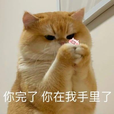 图片中是一只橘色猫咪的特写，它正直立坐着，将两只前爪合握举在胸前，爪子上贴着一个粉色的小猪贴纸，小猪面带微笑。猫咪表情略显平静，眼神微眯，带着一丝狡黠。图片底部有一行白色文字：“你完了 你在我手里了”。整体画面通过猫咪可爱的姿势、俏皮的贴纸和幽默的文字结合，营造出一种轻松搞笑的氛围，像是猫咪在以一种萌态“威胁”对方。
