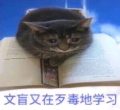 这是一张静态搞笑表情包，画面主体是一只灰毛猫咪，它趴在一本摊开的书本上，眼神涣散，表情疲惫又生无可恋，仿佛被学习折磨得十分痛苦。图片下方配有文字“文盲又在歹毒地学习”，其中使用了谐音梗，“歹毒”谐音“刻苦”，用反讽、自嘲的语气调侃自身或他人基础薄弱却仍在努力学习的状态，带着无奈又搞笑的氛围，非常适合在聊天时用来表达学习过程中的痛苦、疲惫与坚持的复杂心情。